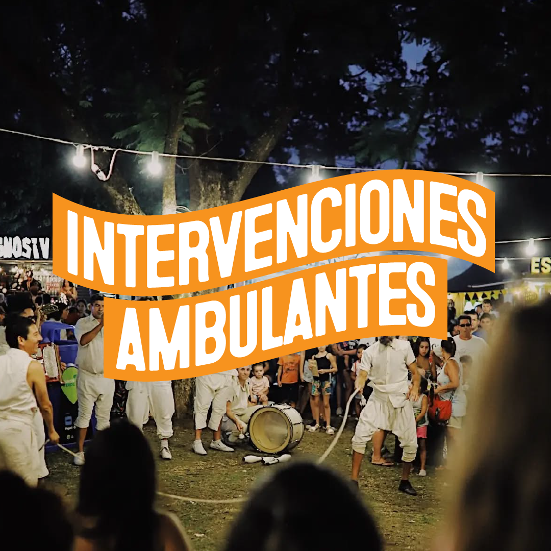 Mionca - Intervenciones ambulantes